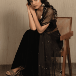 Chaandni Velvet Drape Set