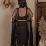 Chaandni Velvet Drape Set